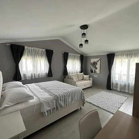 Luxurious In The Heart Of Goecek 费特希耶